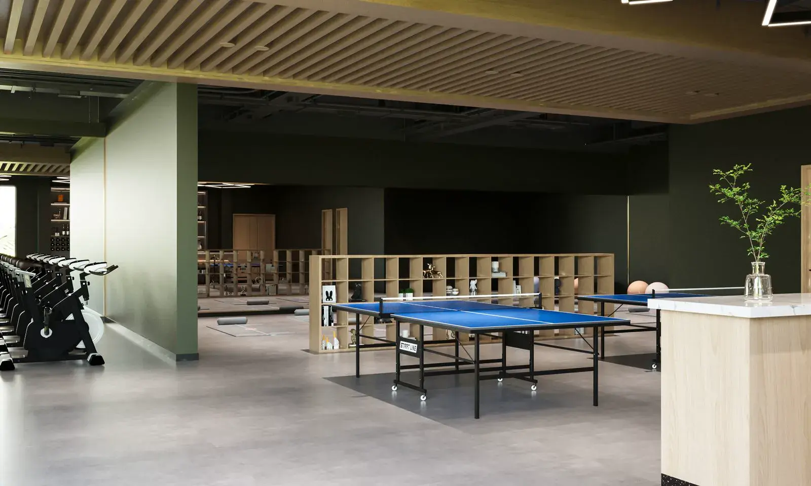 Gimnasio de Verdenzza